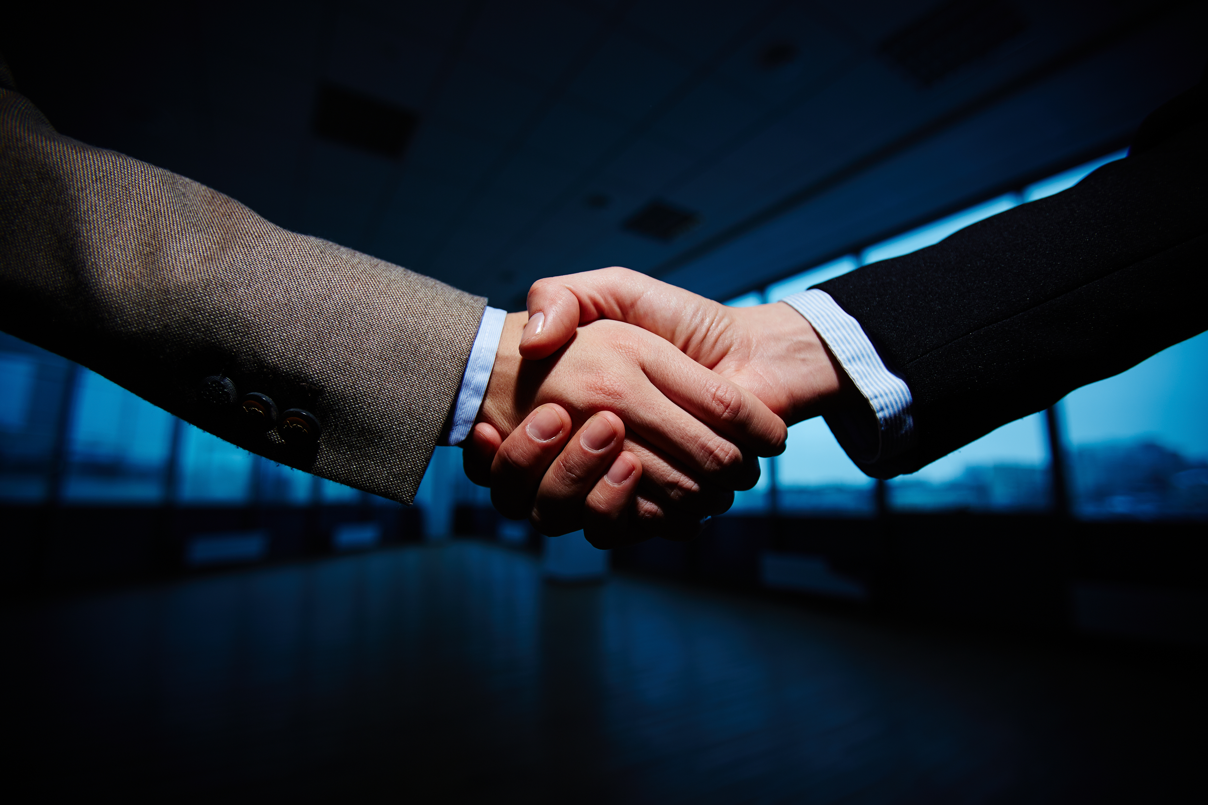 Partnership & Channel
Development